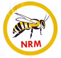 National Rescue Movement
